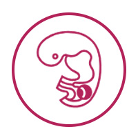 Neuroendocrine Cancer